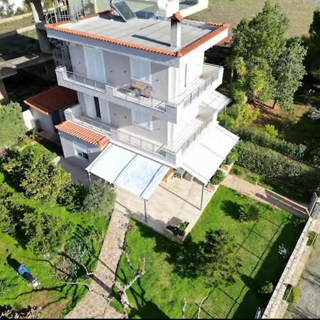 Eretria Homestay エクステリア 写真