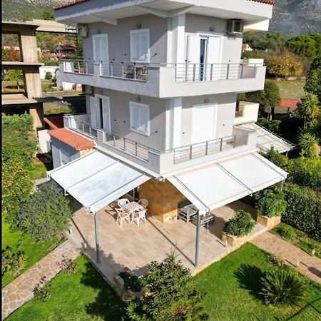 Eretria Homestay エクステリア 写真
